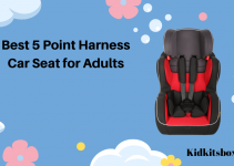 8+ Best 5 Point Harness Car Seat for Adults of 2024
